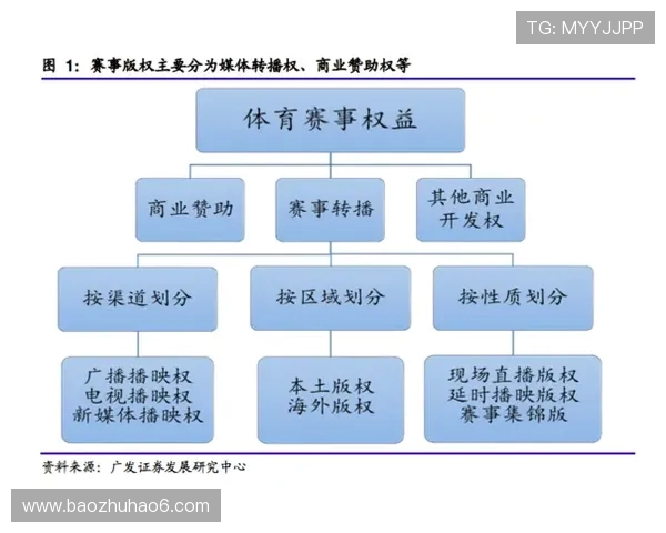 体育赛事版权分销策略深度解析